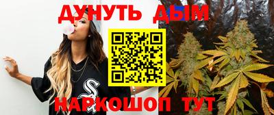 дживик Можга