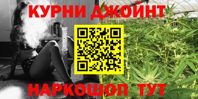 дживик Можга