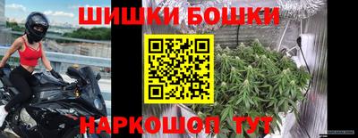 дживик Можга