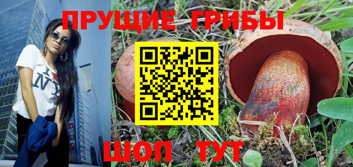 Псилоцибиновые грибы Psilocybine cubensis  Псилоцибиновые грибы мухоморы  Гатчина  Вход с VPN 